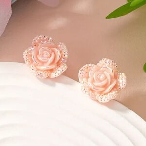 Earrings 🩷🩷